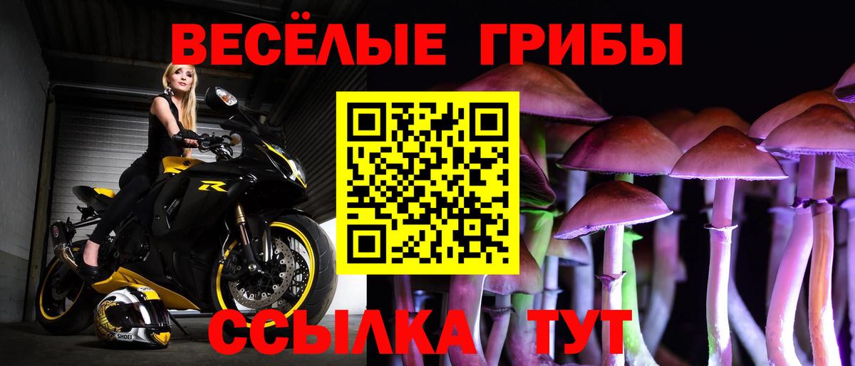 Псилоцибиновые грибы ЛСД Сланцы